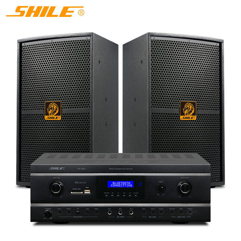 狮乐(SHILE)OK555A+BM99音响套装专业舞台12英寸家庭影院卡拉OK