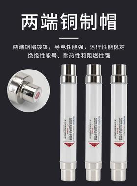 XRNT10-12KV高压限安箱流熔断器变保险管丝1(3A)3.150A250A40A0A6