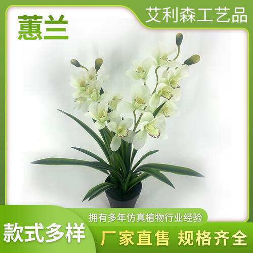 仿真植室物惠兰玄客关厅仿真假ALS-03盆景橱窗装饰绿植仿真假内树