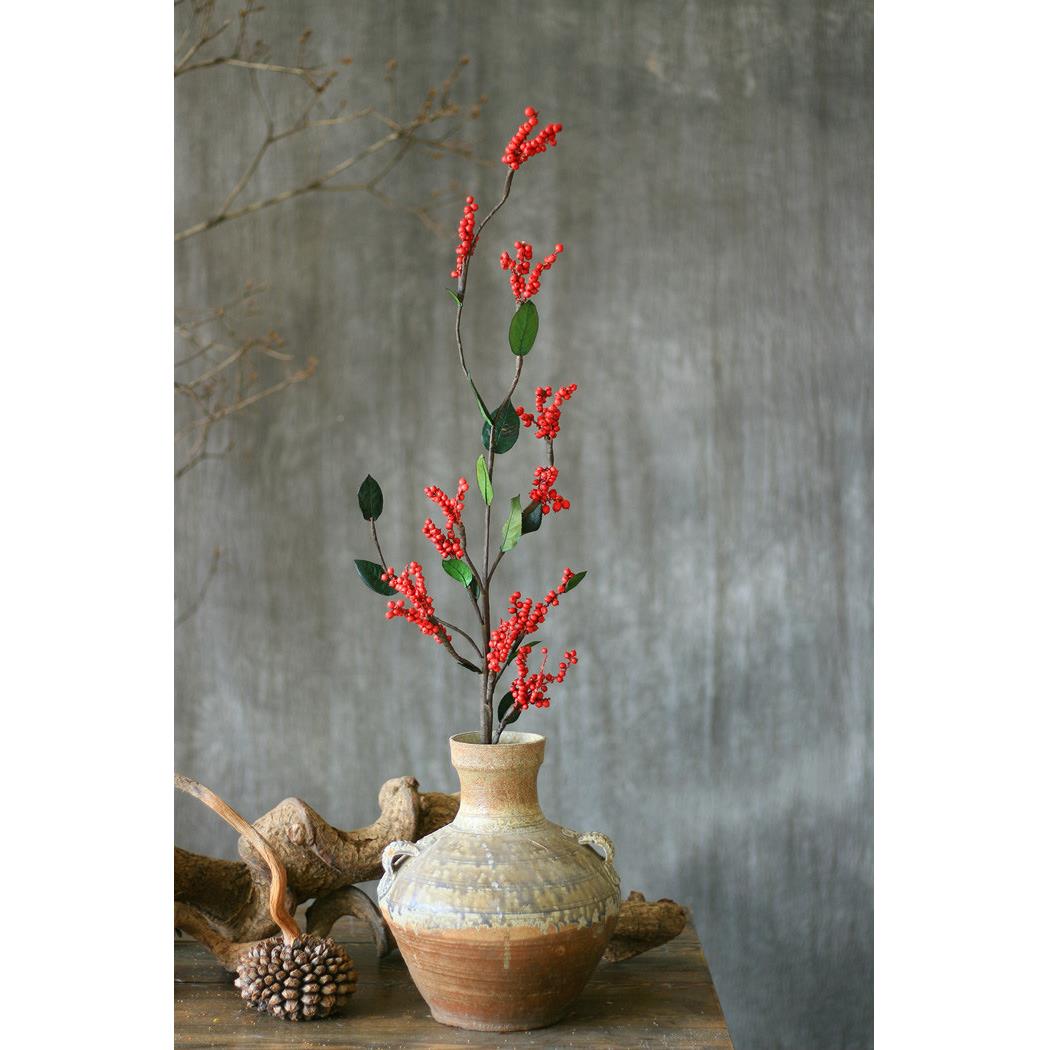 红豆枝植物手工相红豆果干家枝环BRQ保饰干果思拍红摄道具满山红