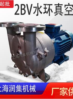 2BV-20ZNV6-206-15110-5111-5121-15131-516铸铁0不锈钢水环式真