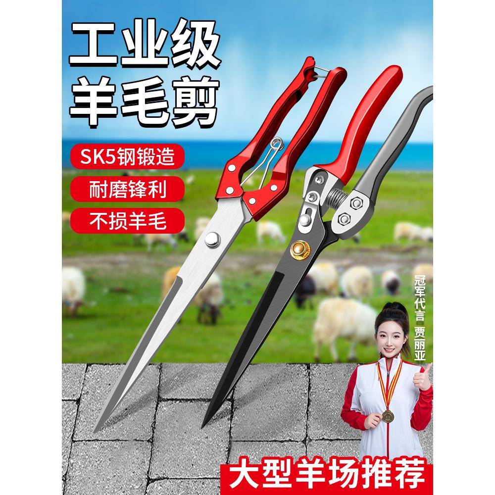 剪羊毛剪子羊毛剪刀手动绞绵羊毛专用弹簧兔狗毛大号修毛剪果枝剪图片