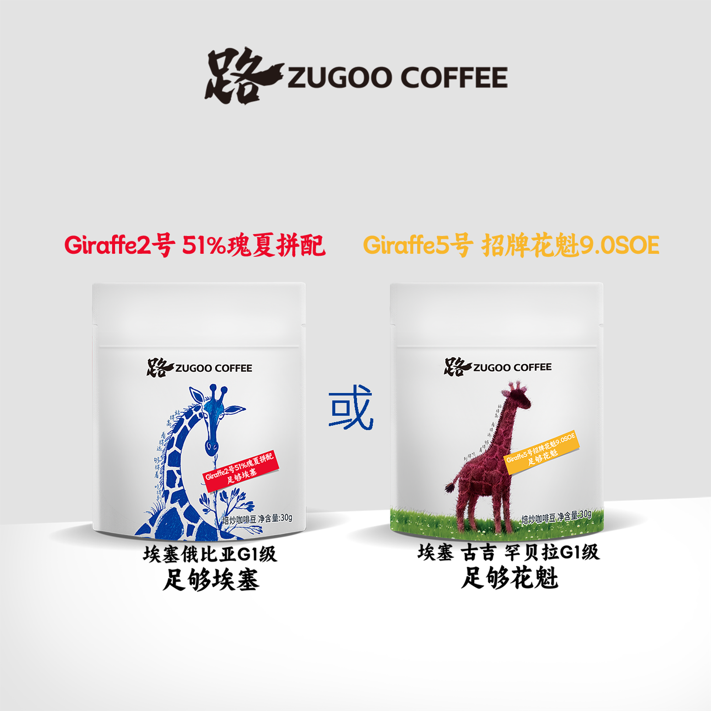 x足各ZUGOO Giraffe系列黑陨石可可卡杜拉肯特烘焙咖啡豆
