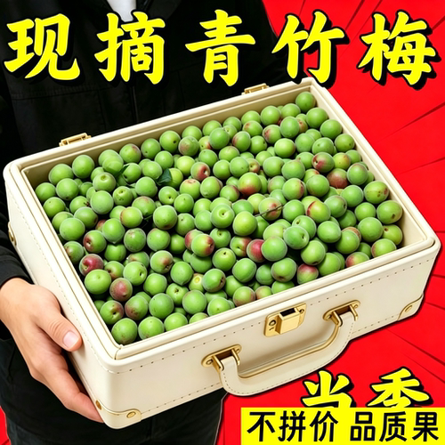 正宗高山青梅果大果现摘 泡酒专用当季青梅鲜果青竹梅果