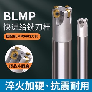 TEBL/BLMP0603数控快进给双面铣刀杆0904刀片铣刀盘加工中心开粗