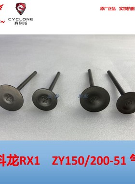 宗申赛科龙RX1 RX1S气门ZY150-51水冷型 ZY200-51原厂气门油封