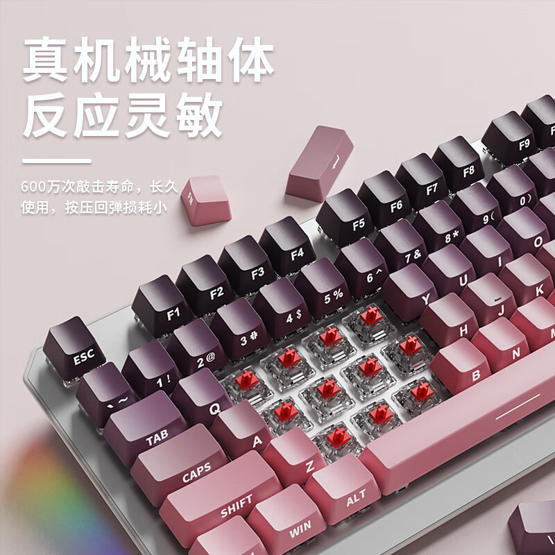 前行者TK870机械键盘三模高颜值