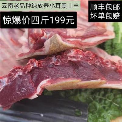 云南散养老品种土黑山羊肉块新鲜带皮前后腿排2500克五斤生鲜包邮
