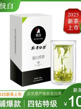 2025新茶绿茶上市极白安吉白茶商务礼盒装特级100g 雨前茶叶春茶