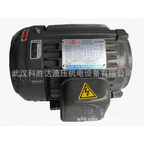 SY群 策群力电机chC02-43BOy4un tseh内轴直插C02-3BO2HP-4P卧式