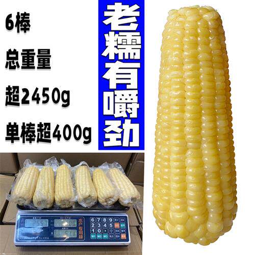 sa姆同款东北新鲜糯玉米棒熟白糯真空保鲜老玉米甜粘大棒6-7棒5斤