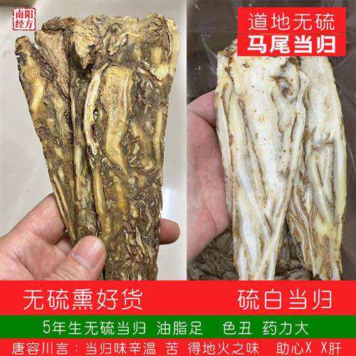 南阳经方 全当归片中药材 无硫整根马尾当归新鲜正品甘肃岷县当归