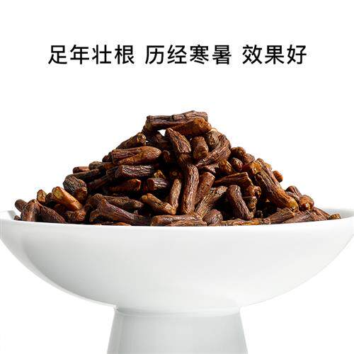蒲公英根茶严选东北长白山天然纯根蒲公英养生茶