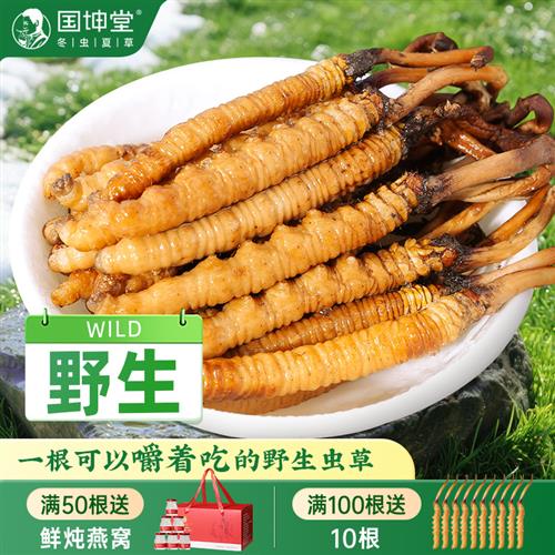 国坤堂那曲新鲜虫草头茬冬虫夏草官方经营店正品