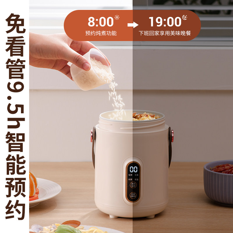 电炖锅小型多功能小炖锅电煮锅煲汤煮面煮粥神器R家用上班族电炖