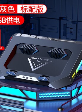 诺西NUOXI 电脑散热器 笔记本便携风冷散热支架手提游戏升降降温