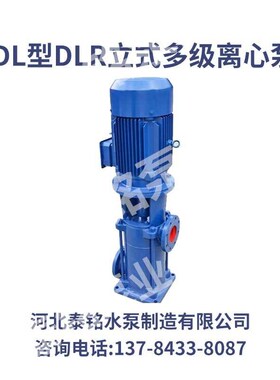 CDL立式多级离心泵CDLR热水循环增压泵供水泵厂家现货