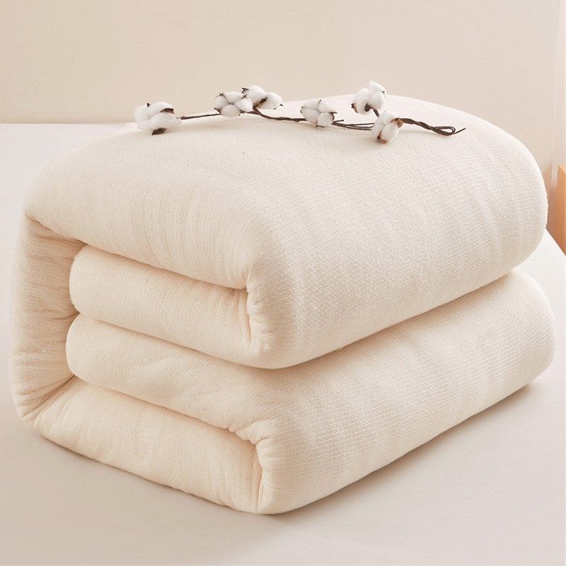 棉絮棉被学生宿舍床垫被单人棉花被子被芯春秋冬被加厚10斤被褥子,床上用品,棉花被,淘宝优惠券,粉丝福利购,淘宝优惠卷