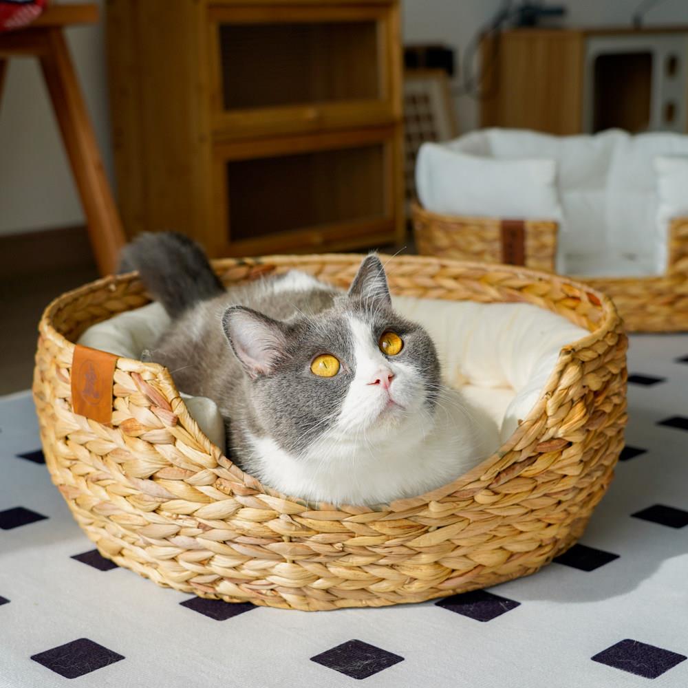 麦穗花手工天然编织藤编猫窝冬天保暖可拆洗狗窝碗型耐咬兔子窝