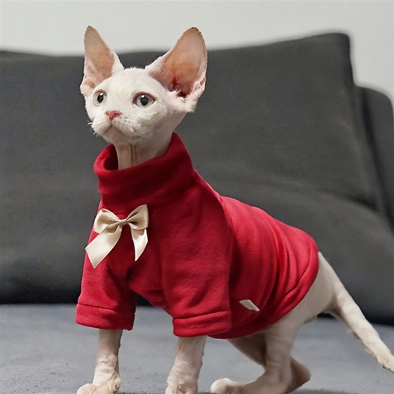 喜庆猫咪纯棉德文衣服圣诞节装扮秋冬保暖大红高领过年无毛猫宠物