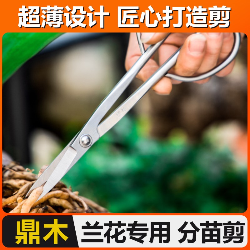 兰花分苗叶芽剪兰花剪盆景修剪造型专用工具不锈钢剪刀修芽剪修枝