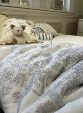 法式复古灰色夏天凉感丝滑夏凉被双人被芯K莱赛尔纤维空调被薄被