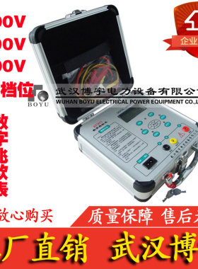 BY2671G数字兆欧表 电子摇表 500V,1000V,2500V,5000V四档 兆欧表