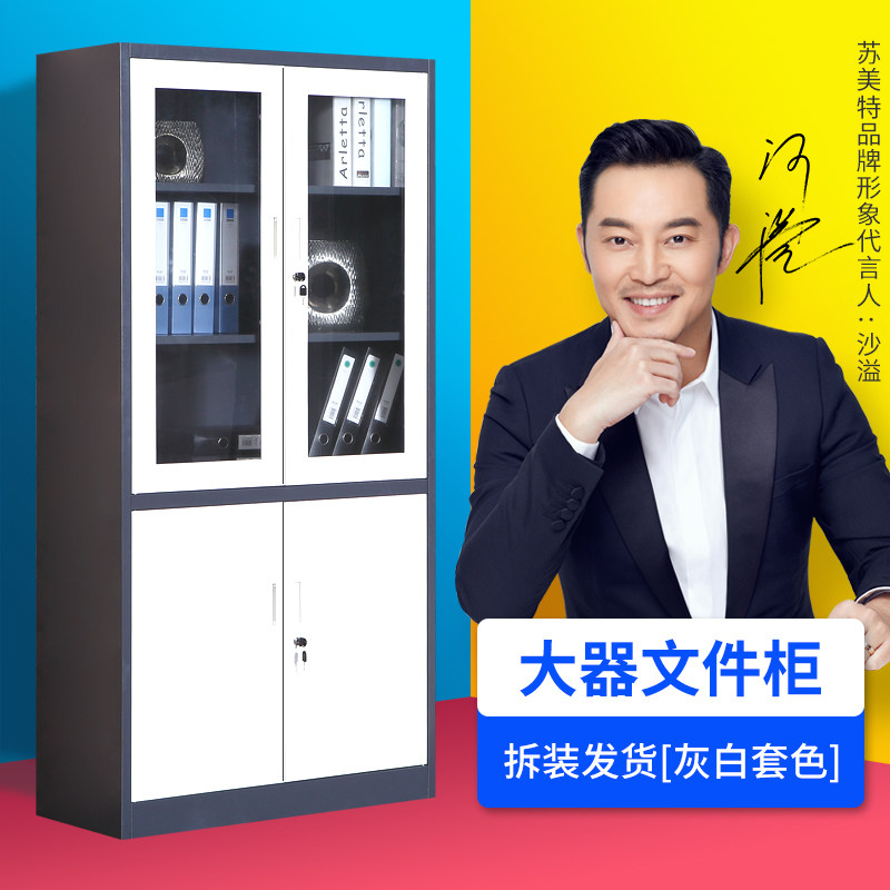 钢制办公文件柜铁皮柜拆装大器械档案资料柜财务凭证柜带锁储物柜
