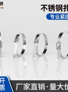 304不锈钢扎带4.6*300mm自锁式金属白钢捆绑带扎丝卡扣电缆固定座