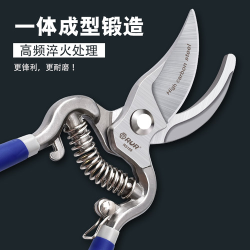 剪枝果树修枝剪刀园艺园林修花枝剪家用强力剪子神器花剪剪枝剪刀