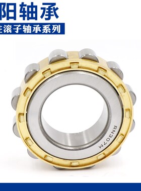 洛阳轴承 N NU NJ RN NUP NF 232 234 236 238 E M C3 4 P5 6