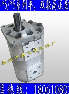 CBNL-F563/F550/F540/F532/F520/F516/F510/F525/BF高压齿轮泵