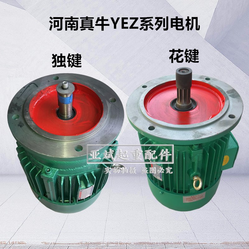 河南真牛摆线针轮减速机电机YEZ132S-4 5.5KW建筑电机花/独键电机