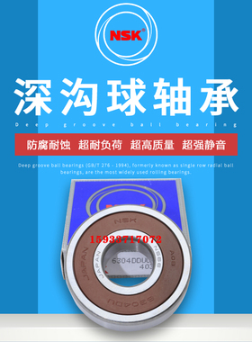 NSK轴承16100 16001 16002 16003 16004 16005 16006 ZZ 2Z