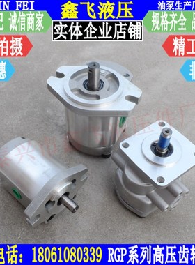 RGP-F201R F202R F203R F204R F205R F206R F208R-12 L-12齿轮泵