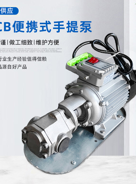 手提式wbcb系列齿轮泵 不锈钢手提泵自吸抽油泵220/380V便携手泵