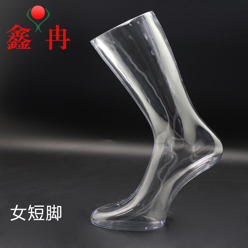 透明脚模男女脚模袜模特透明长中筒短丝袜脚Q腿模型拍照展示道具