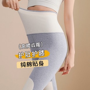 女纯棉内穿秋冬线裤 暖肚保暖棉裤 薄款 加厚护膝打底裤 绒裤 高腰秋裤