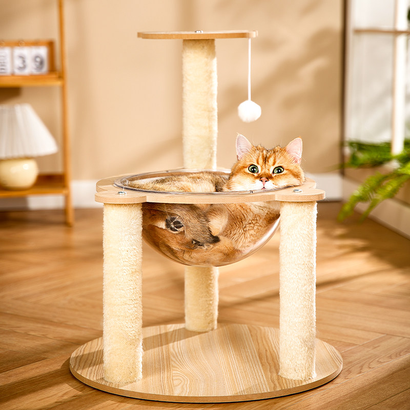 猫爬架家用猫架子猫窝猫树一体太空舱小型猫咪观景台不占地玩具