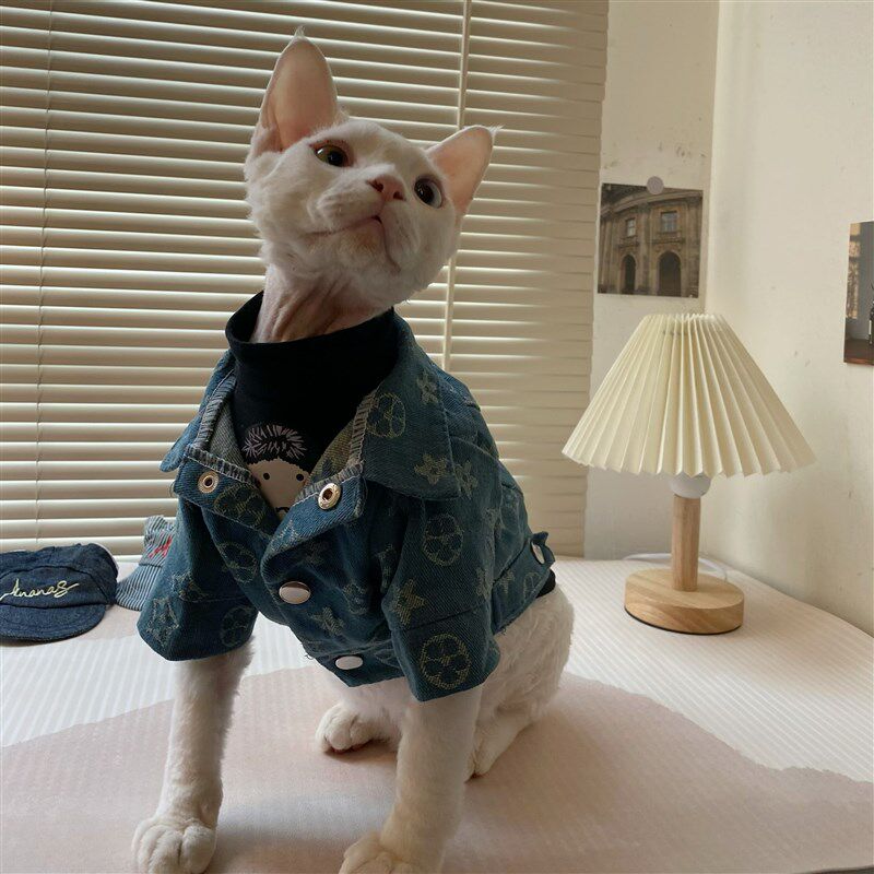 春秋斯芬克斯无毛猫德文卷毛猫衣服牛仔外套狗狗小型犬小猫衣服潮