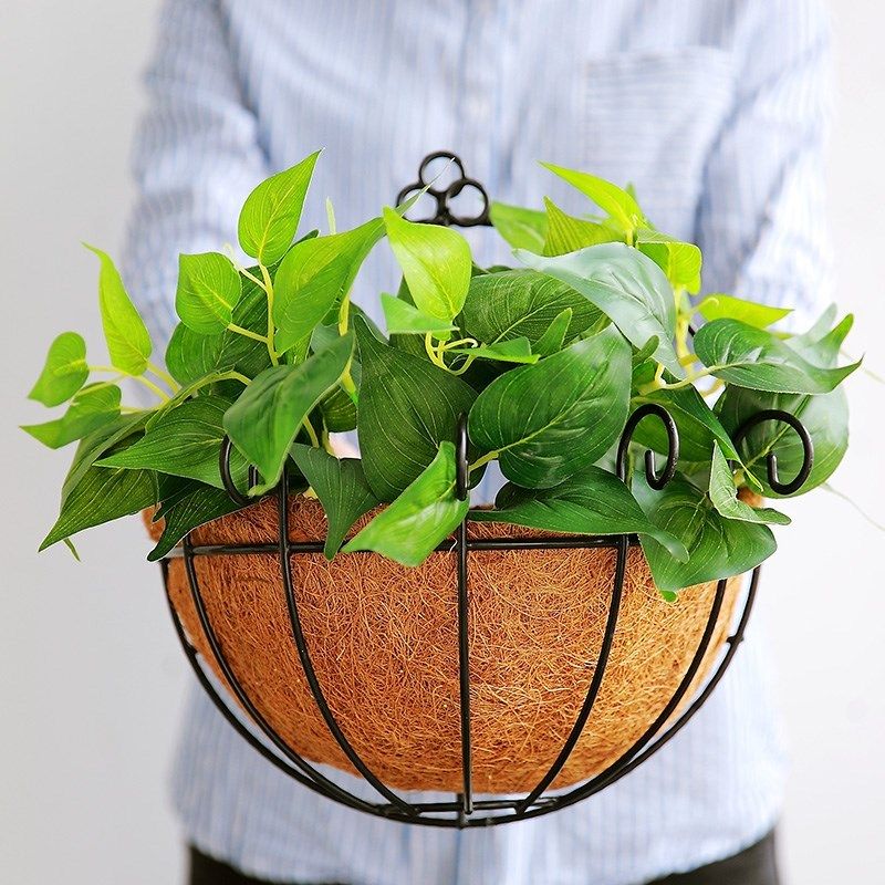 美式乡村简约编织吊篮半壁挂花盆创意悬挂吊兰盆幼儿园装饰绿植篮
