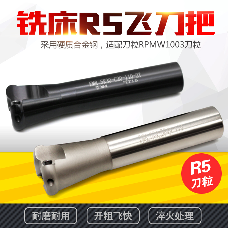 大飞铣床R5刀把 圆刀把1003 白色加硬铣刀杆EMRC20-5R30-110-2T