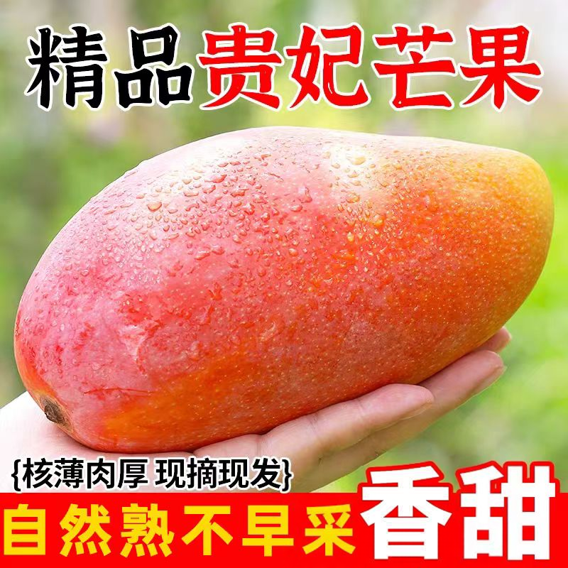 海南贵妃芒新鲜芒果当季孕妇水果树上熟热带彩虹辣椒芒果9斤香甜