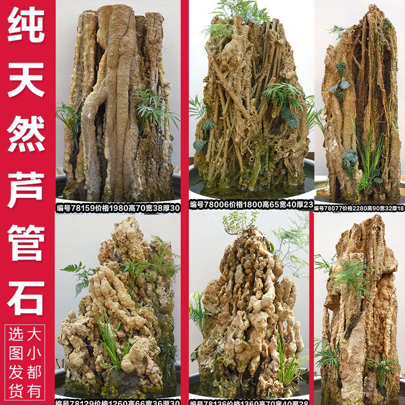 新品假山盆景摆件芦管石上水麦管石摆件造景石头小摆件吸水小石头