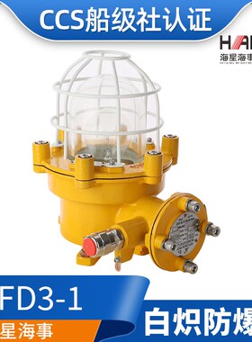 海星海事船用铜质白炽防爆灯CFD1/2/3/4a-I防水100W60W CCS证正品