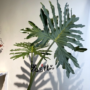 大春雨叶贯众蕨叶高品质软胶保湿仿真树叶喜林芋叶热带大叶子美陈