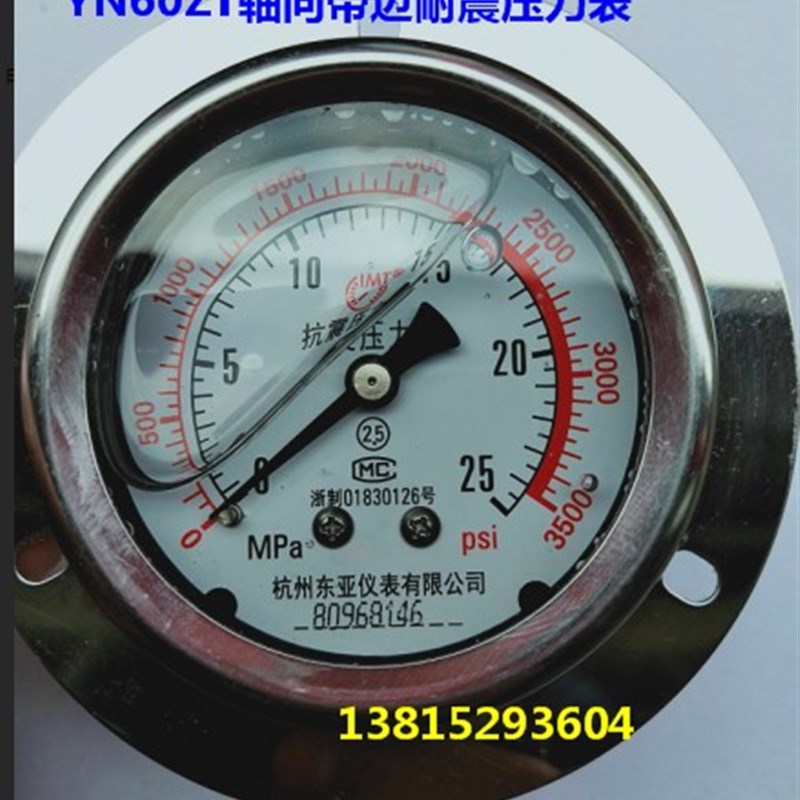 YN60ZT 40MPa  25mpa16mpa轴向带边耐震/抗震压力表 杭州东亚仪表