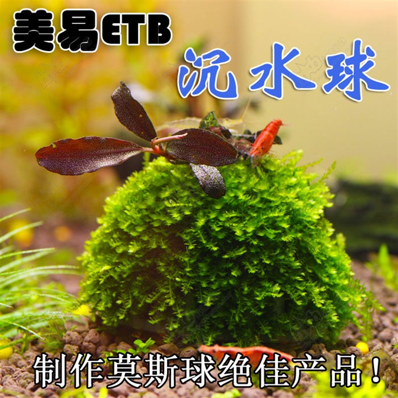 美易沉水球创意莫丝球水草种植盆繁殖罐含矿物质滤材造景鱼缸装饰