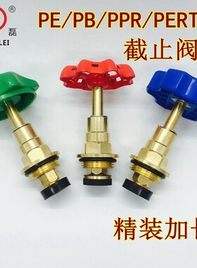 PPR新款纯铜阀芯DN20 25 32精品黄铜阀芯PE截止阀芯精装加长款