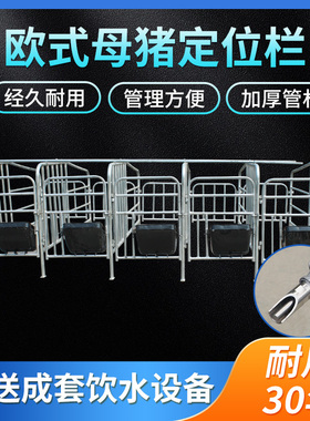 2.5厚热镀锌欧式母猪定位栏带食槽限位栏两用母猪隔离栏新型猪床
